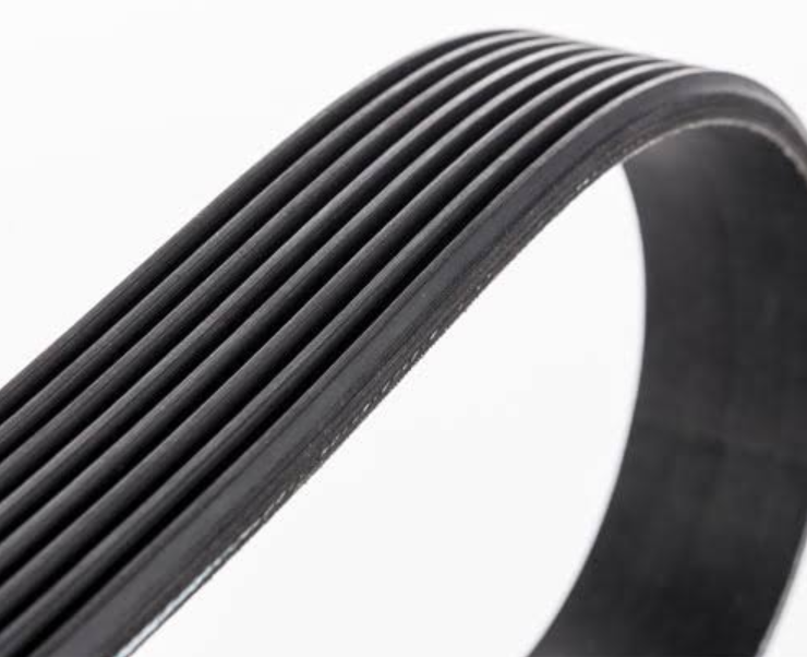 Poly V, Polyrib, Micro V